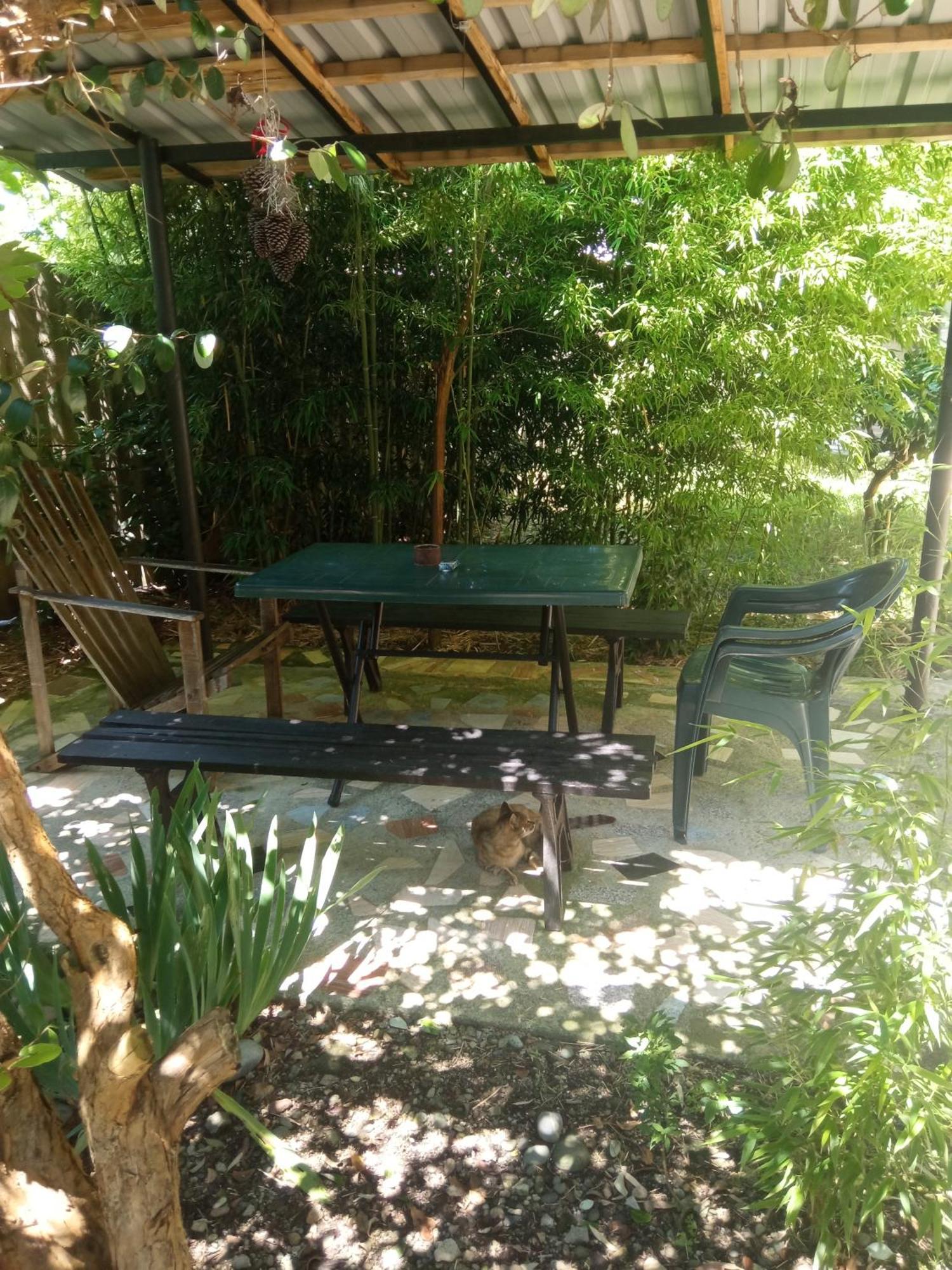 Zaza Hotel Kobuleti Exterior foto